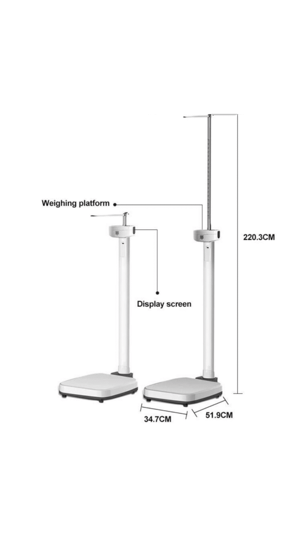 Body height and weight scale